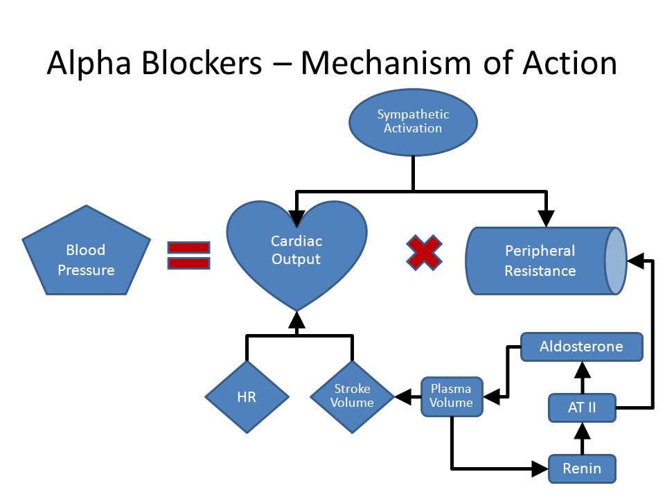 alpha blocker ยา class